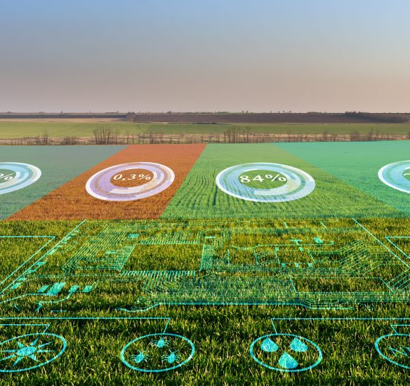 The concept of collecting data on humidity, temperature, illumination of acidity, fertilizers and pests without human intervention, the transmission of the obtained data and their analysis to increase the yield